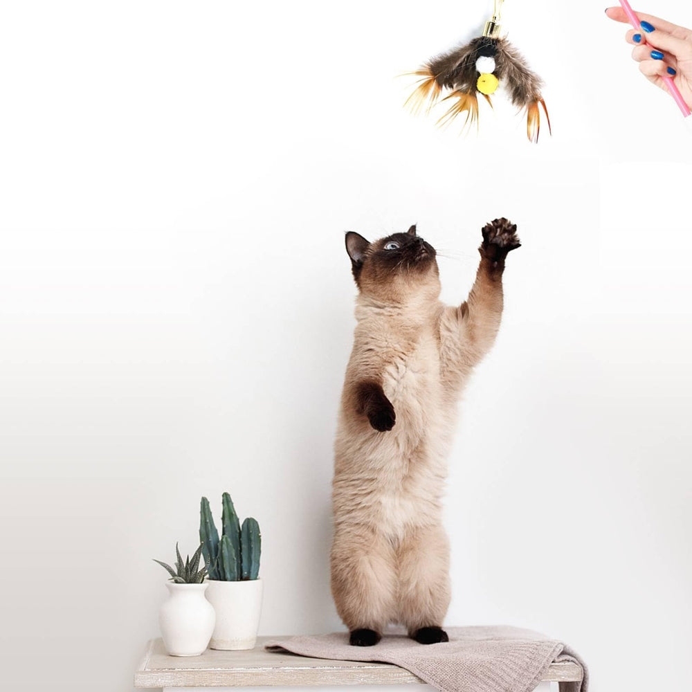 Cloche tintante pour attirer l’attention du chat lors du jeu Hokoad.