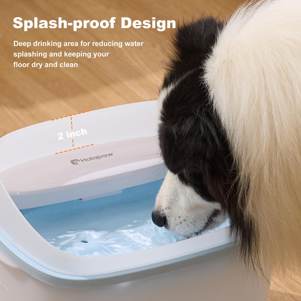 HOLAPAW anti-eclaboussures – protege votre sol lors des repas des chiens et chats.