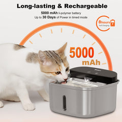 HOLAPAW fontaine-batterie 5000mAh assure une longue autonomie lors des déplacements.