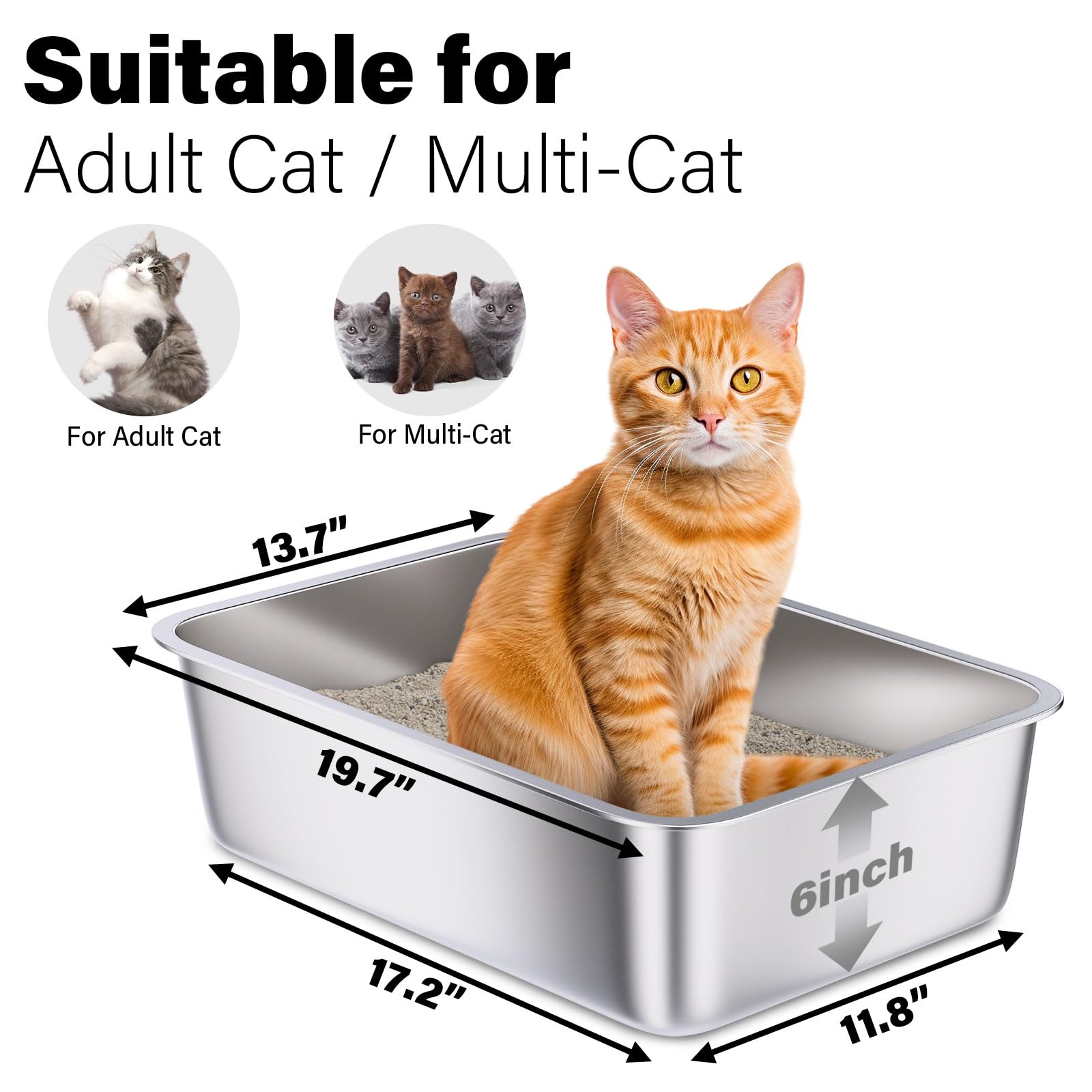 Holintan litière en inox 2-pack — intérieur spacieux pour chats.
