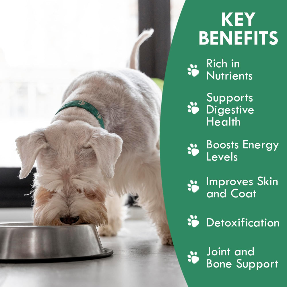 Holistic Bin Chien Poudre Chlorophylle Verte: équilibre intestinal potentiel