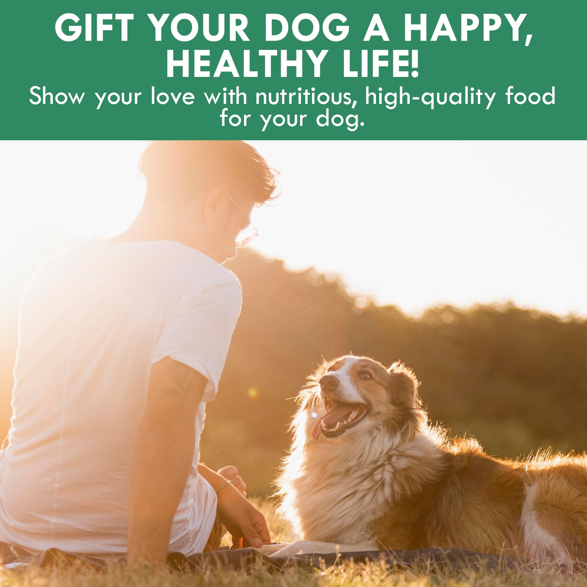 Holistic Bin Chien Complément Nourriture Seche: topper pratique pour croquettes