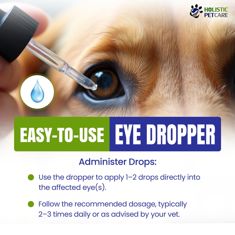 Holistic Pet Care argent colloïdal et DMSO pour une pénétration douce