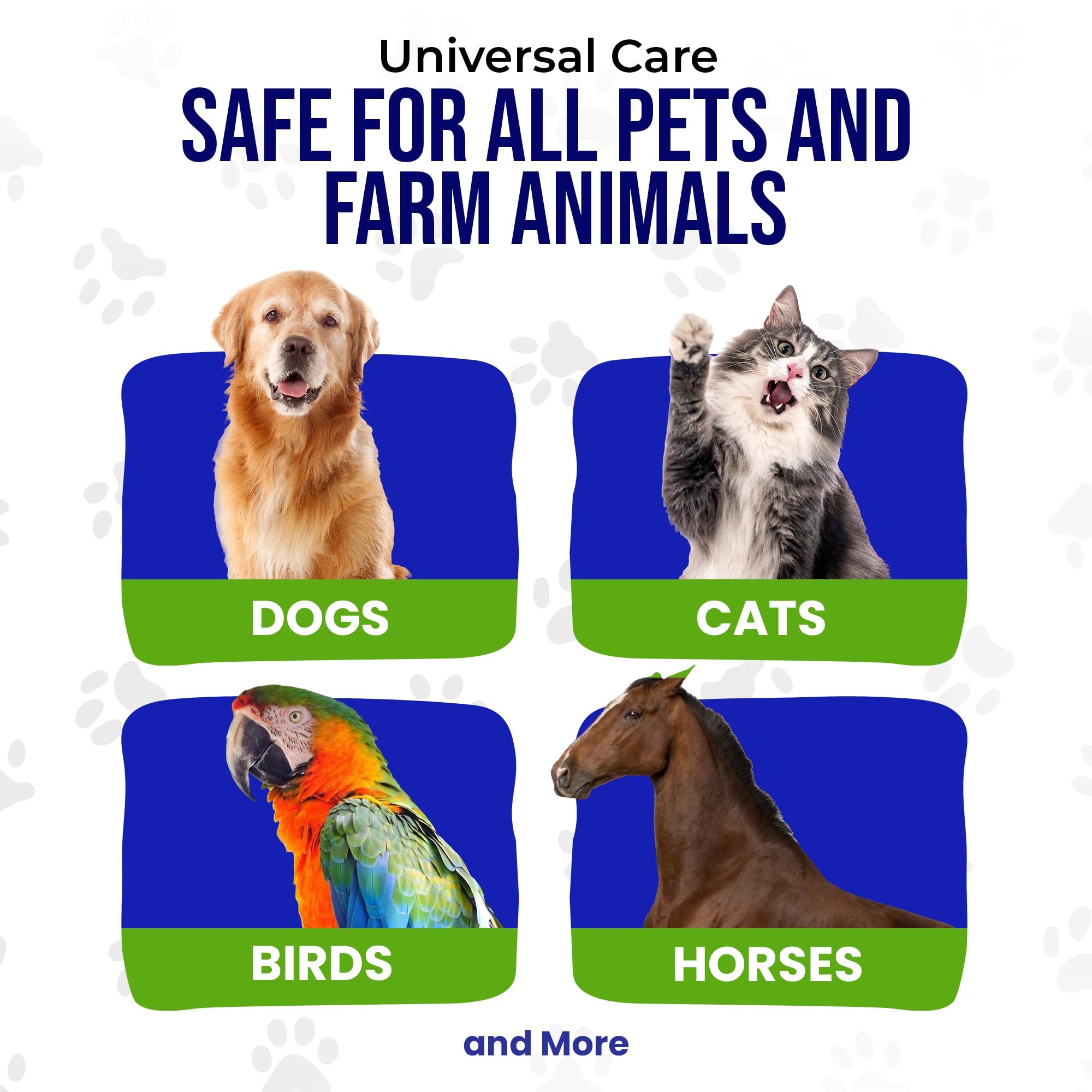 HOLISTIC PET CARE Colloidal Silver, utilisation sur la peau pour soutenir le confort cutané.