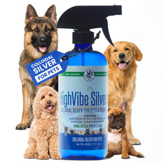 HOLISTIC PET CARE Colloidal Silver, bouteille 16oz prête à pulvériser pour soin de la peau.