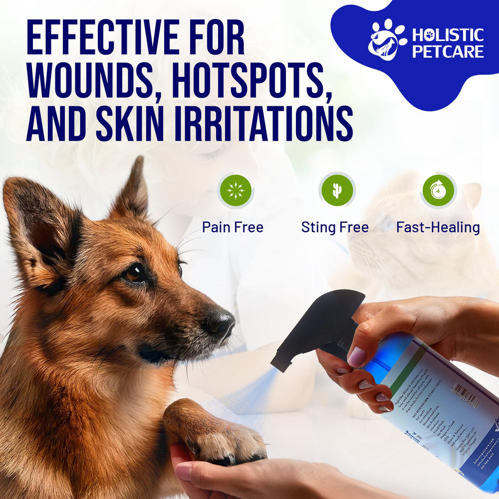 HOLISTIC PET CARE Colloidal Silver, pulvérisateur pratique pour une application précise.