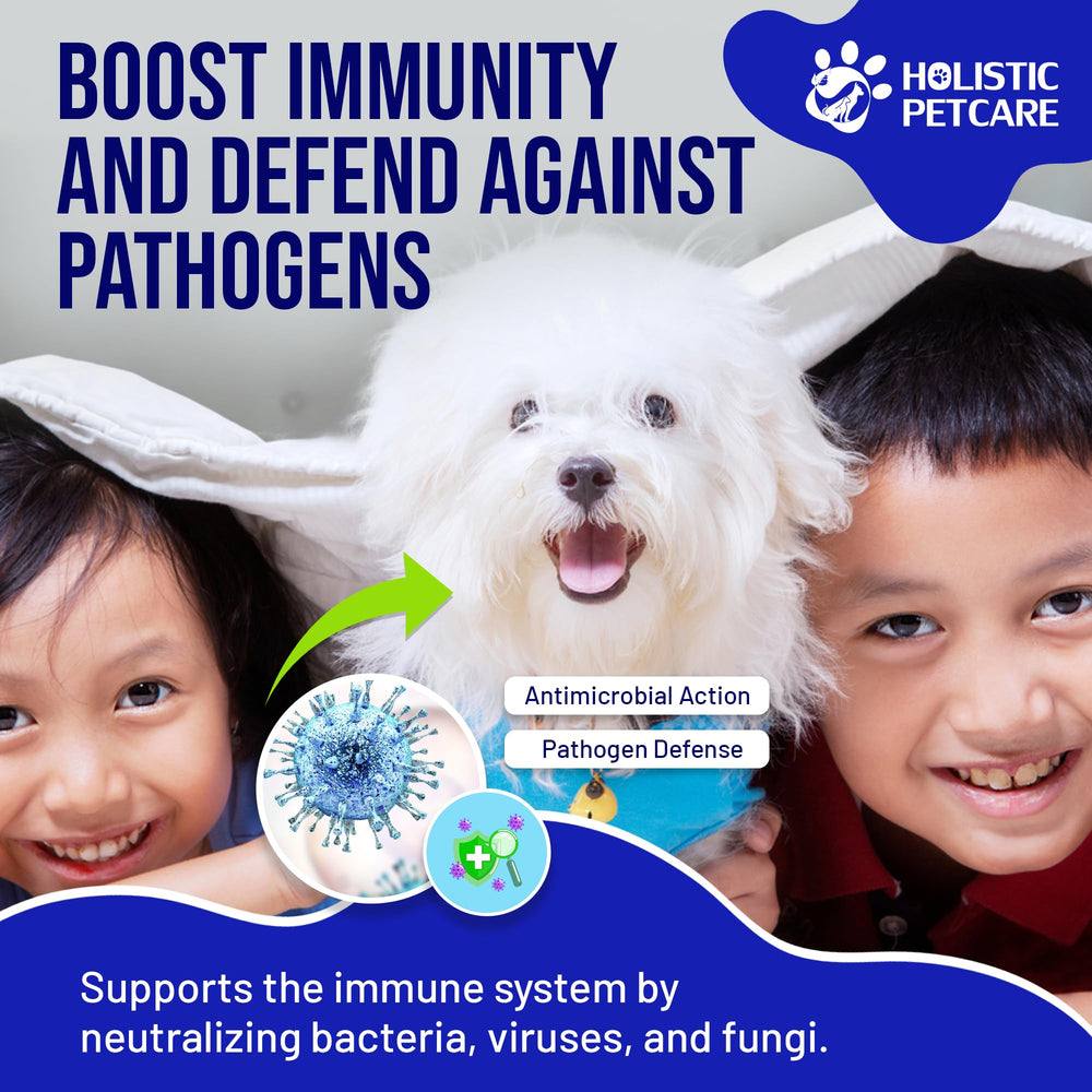 HOLISTIC PET CARE Colloidal Silver, seringue fournie pour dosage précis et sans dégât.