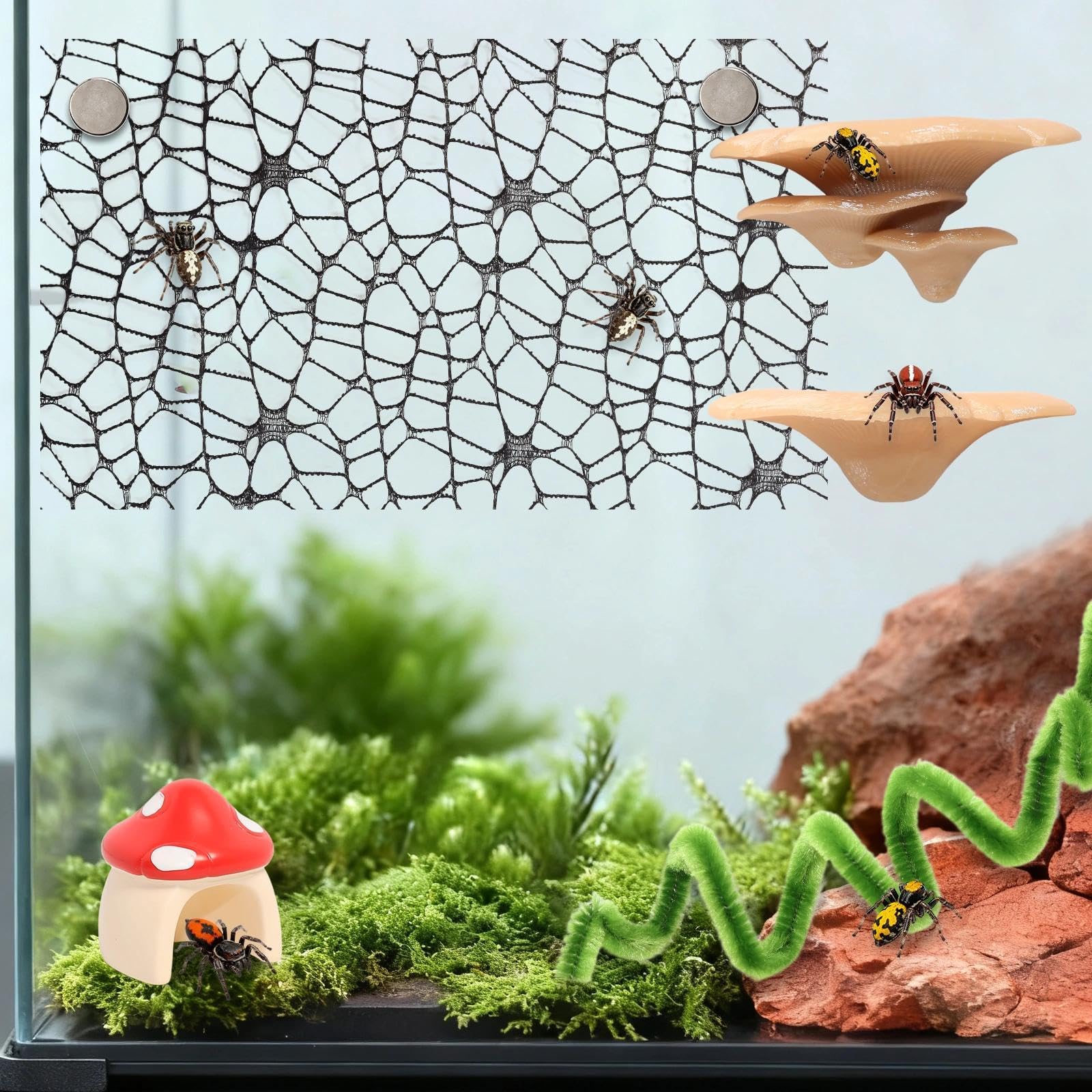 Hollima ensemble 8 pièces: kit d’enrichissement modulable pour arachnide.