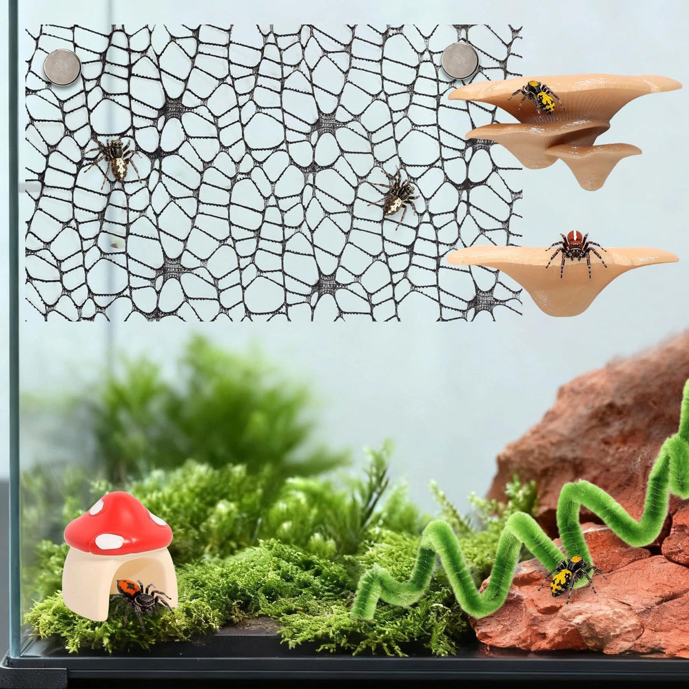 Hollima ensemble 8 pièces: kit d’enrichissement modulable pour arachnide.