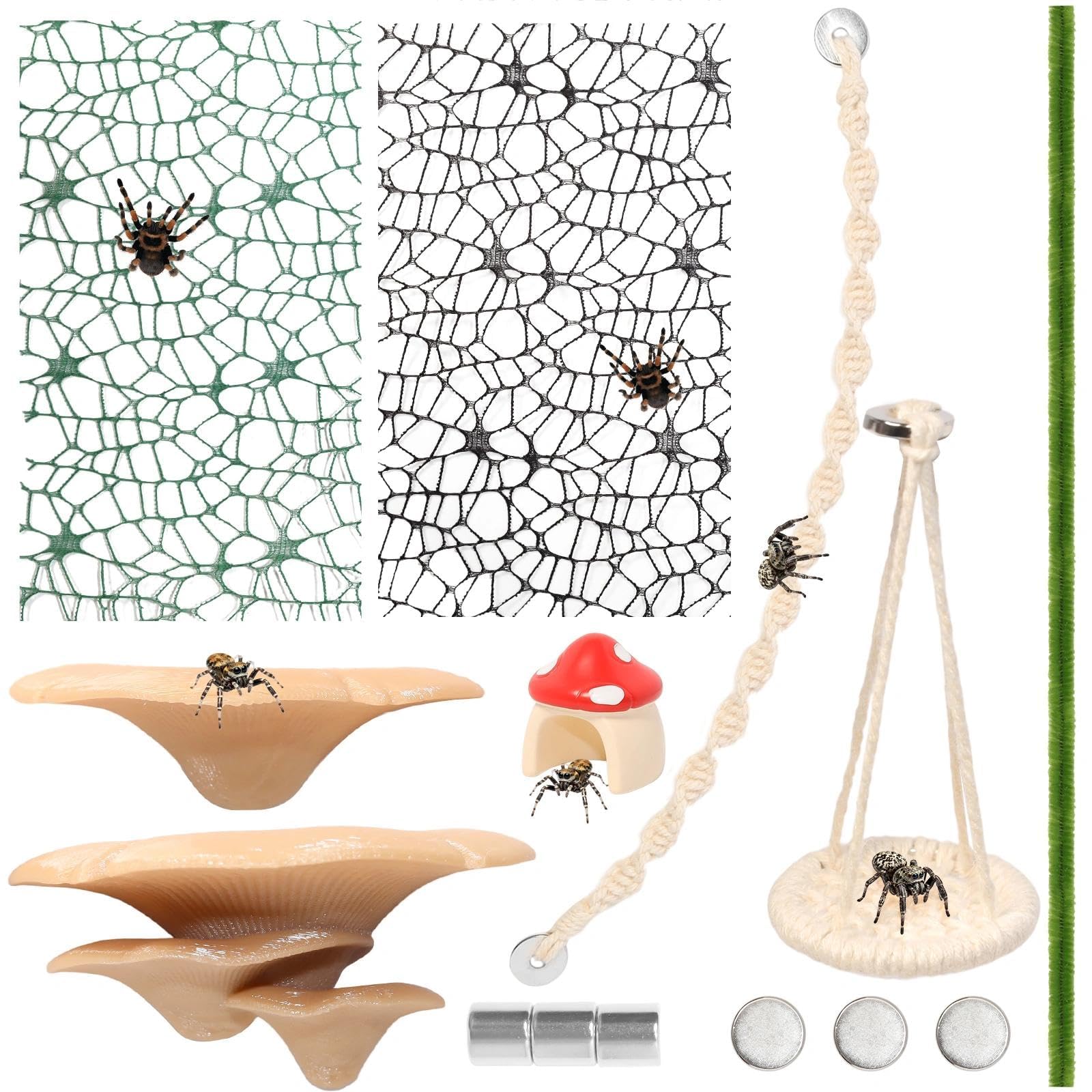 Hollima habitat arachnide cachette champignon: refuge sûr pour exploration.