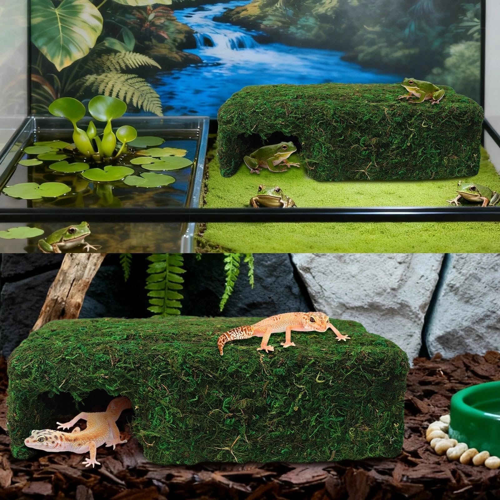 Hollima Mossy Cave Hide – référence terrarium naturelle pour repos et habitats variés.