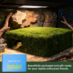 Hollima Mossy Cave Hide – support en acier assure stabilité pendant les activités quotidiennes.