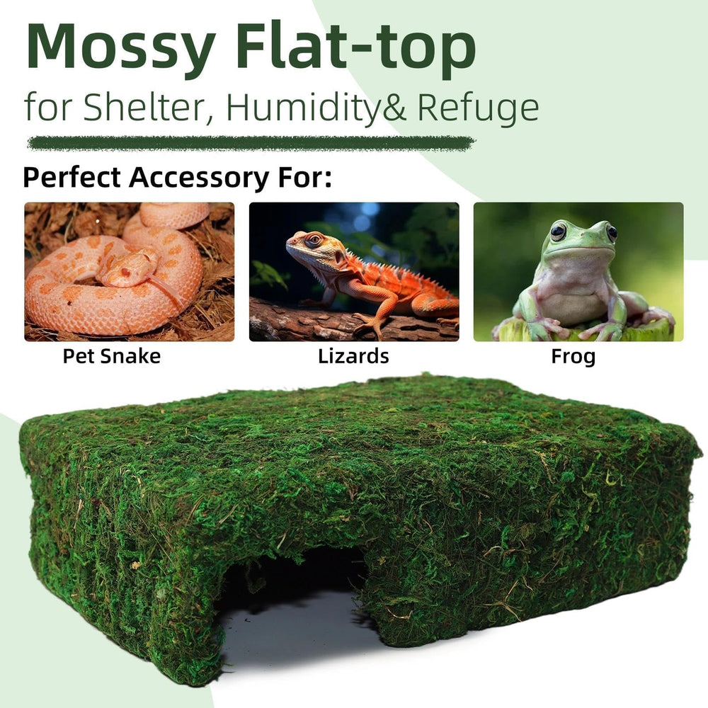 Hollima Mossy Cave Hide – design discret s'intègre au terrarium sans stress visuel.