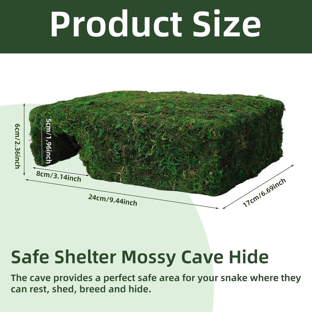 Hollima Mossy Cave Hide – intérieur spacieux propice au repos et à l'observation des animaux.