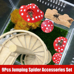 Réseau d’escalade Hollima pour terrarium araignée sauterelle.