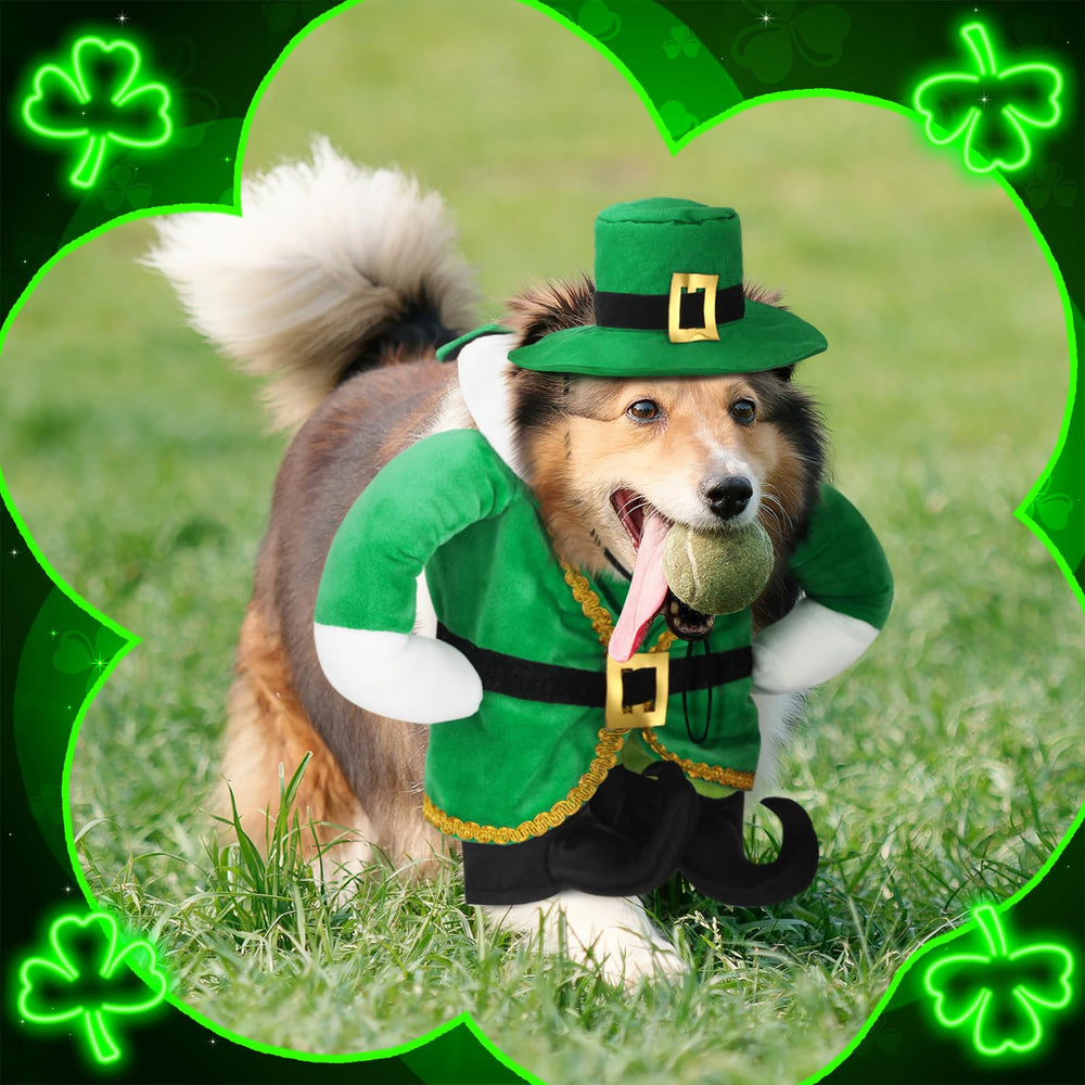 Déguisement Hollowfly chat lutin Saint-Patrick vert, look décoratif et charmant.