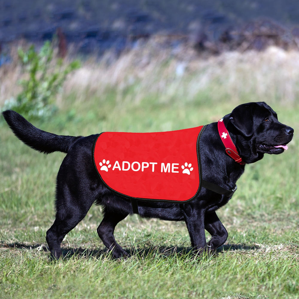 HOLLP Adopt Me gilet chien apporte confort et securite lors des sorties en extérieur.
