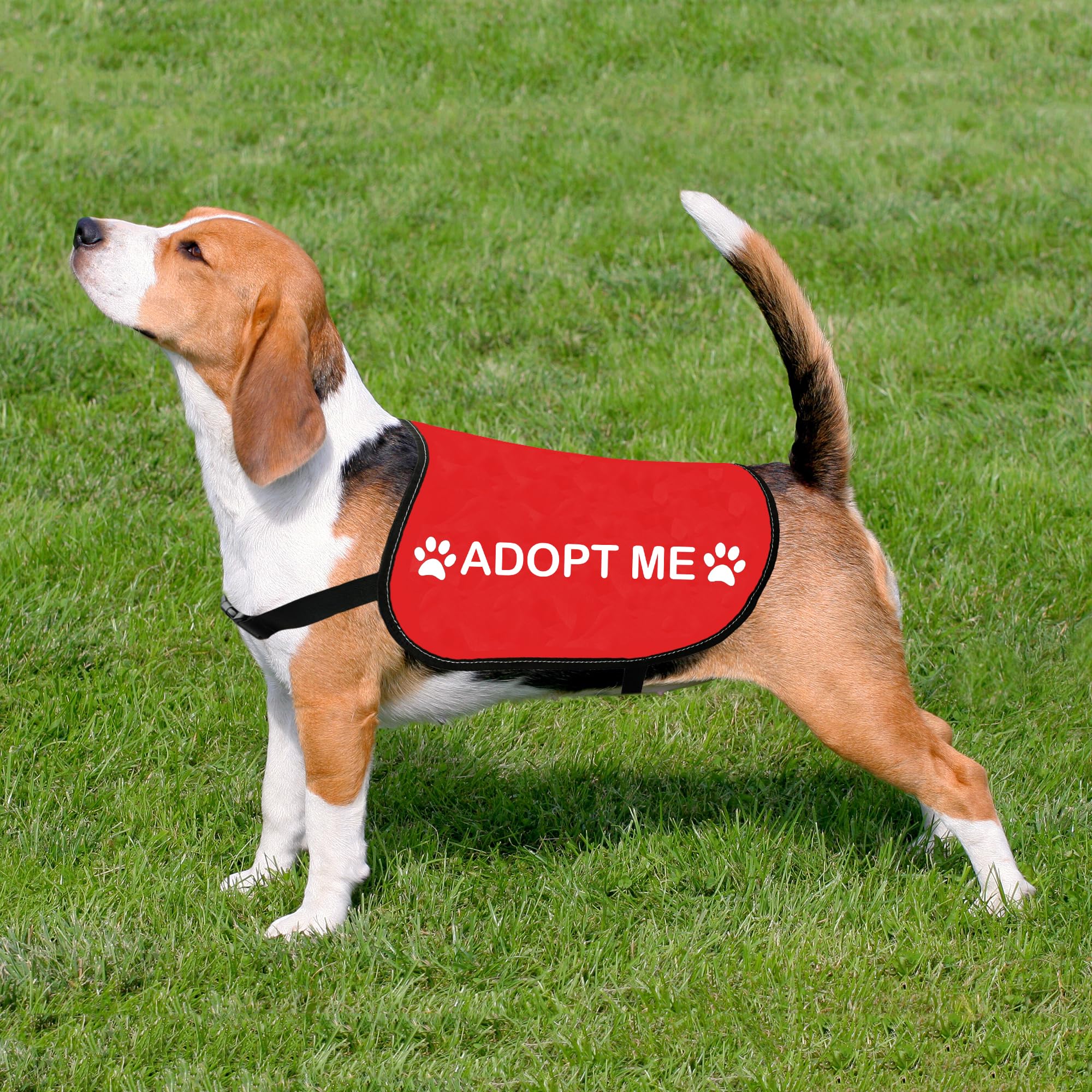 HOLLP Adopt Me gilet chien reglable, s’adapte à la silhouette du chien.