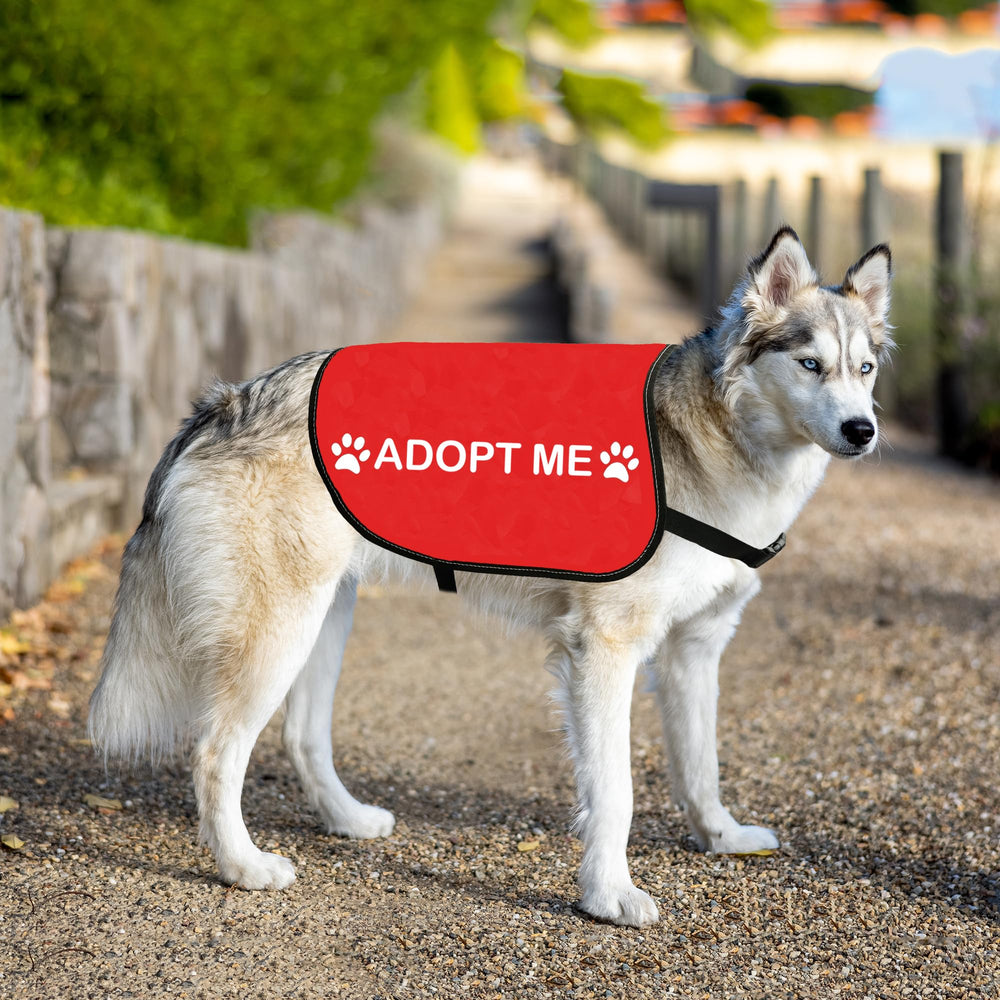 HOLLP Adopt Me gilet chien taille Large, ajustement précis pour les grands chiens.