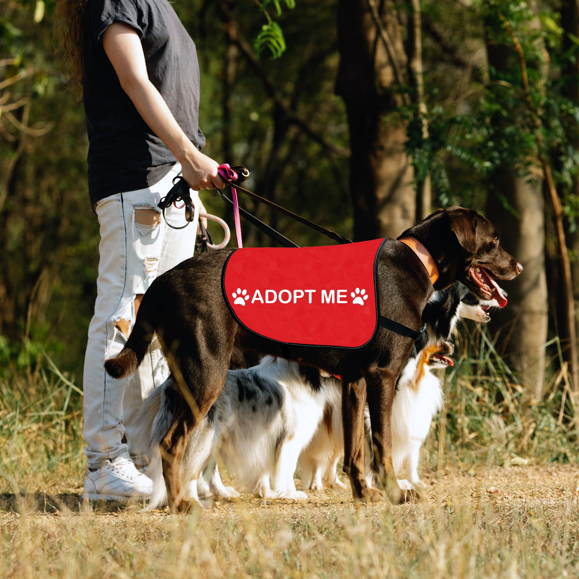 HOLLP Adopt Me gilet chien avec inscription ADOPT ME pour signaler l adoption.