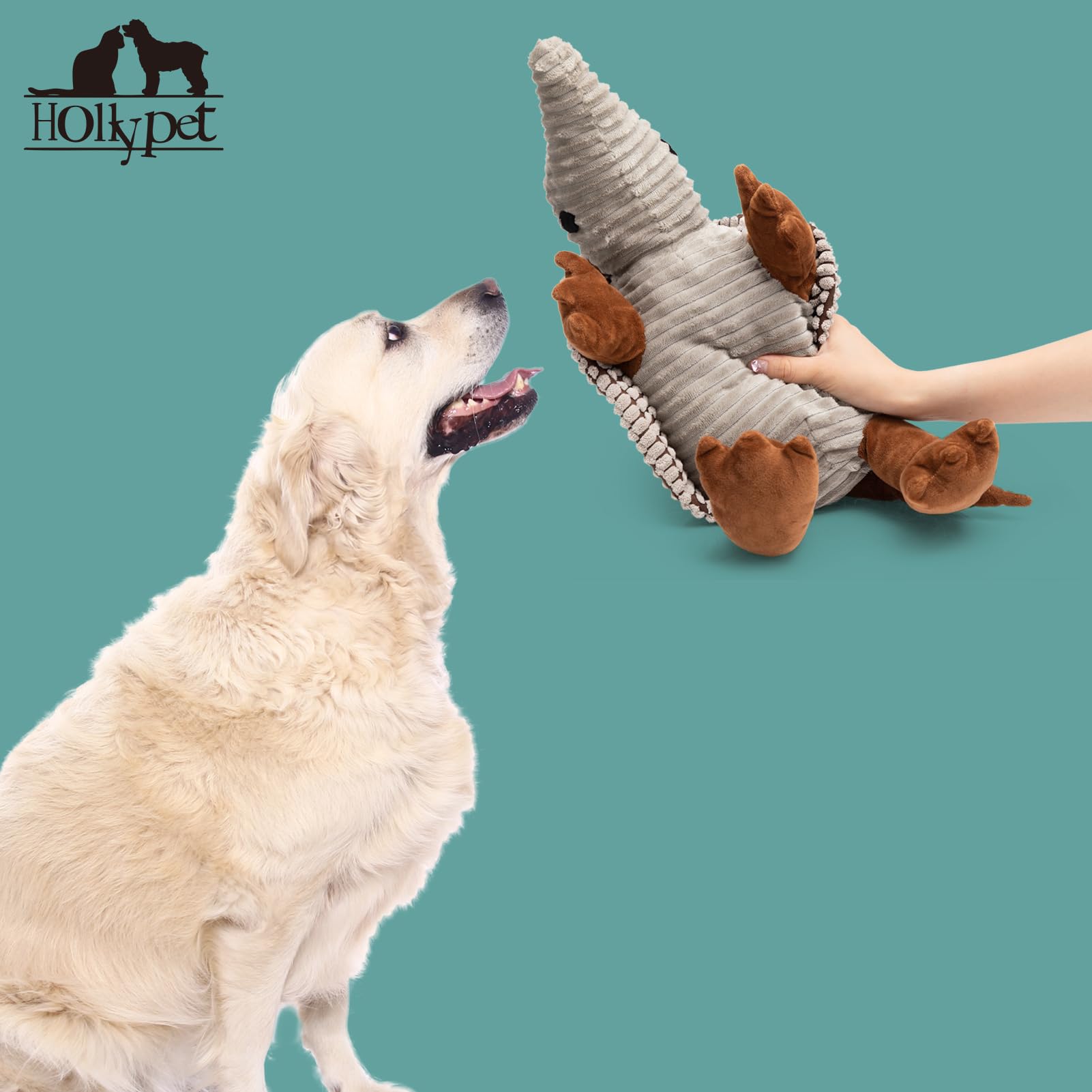 Jouet Hollypet Armadillo, idéal pour sessions de récupération et complicité.