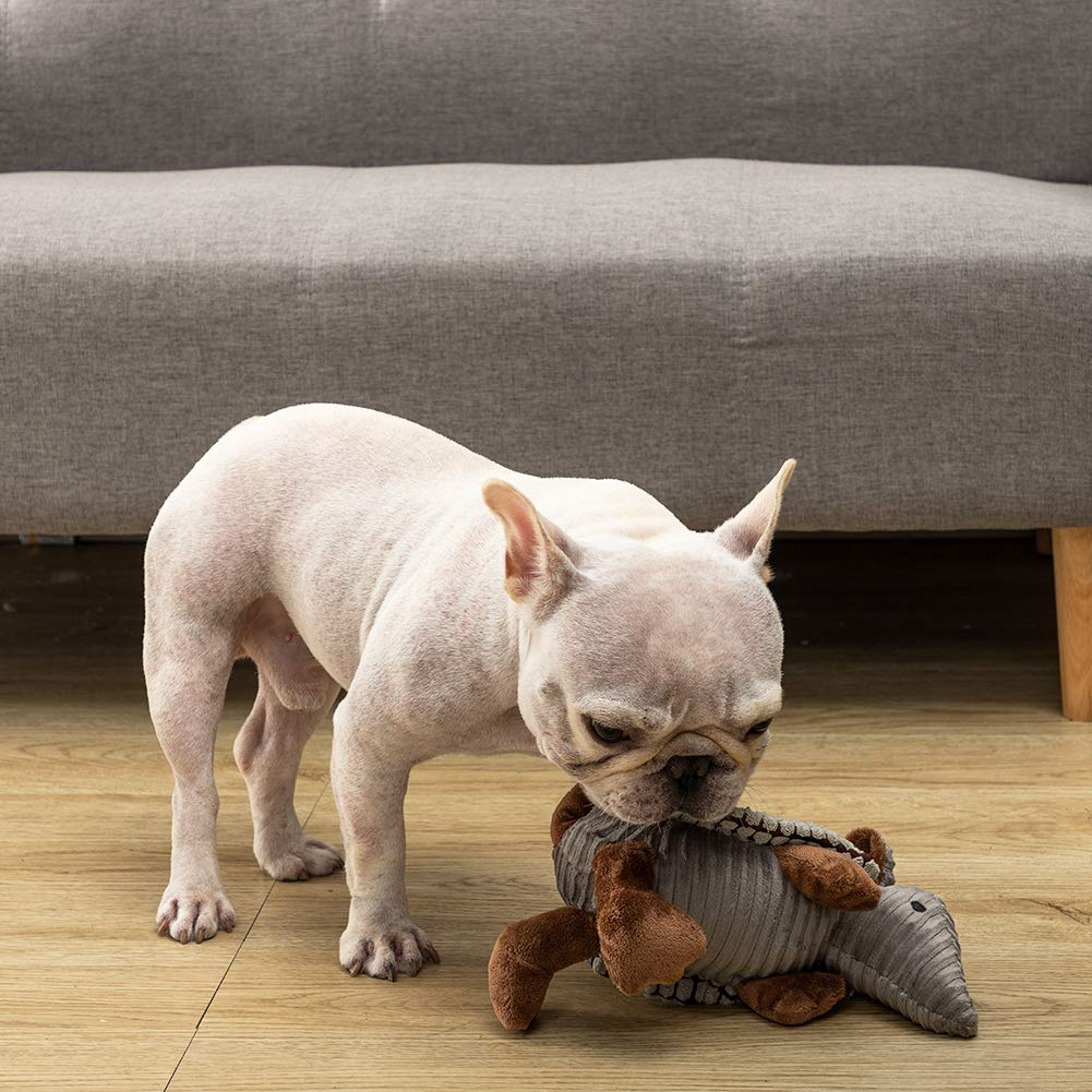 Utilisation intérieur et extérieur possible avec Armadillo Hollypet gris.