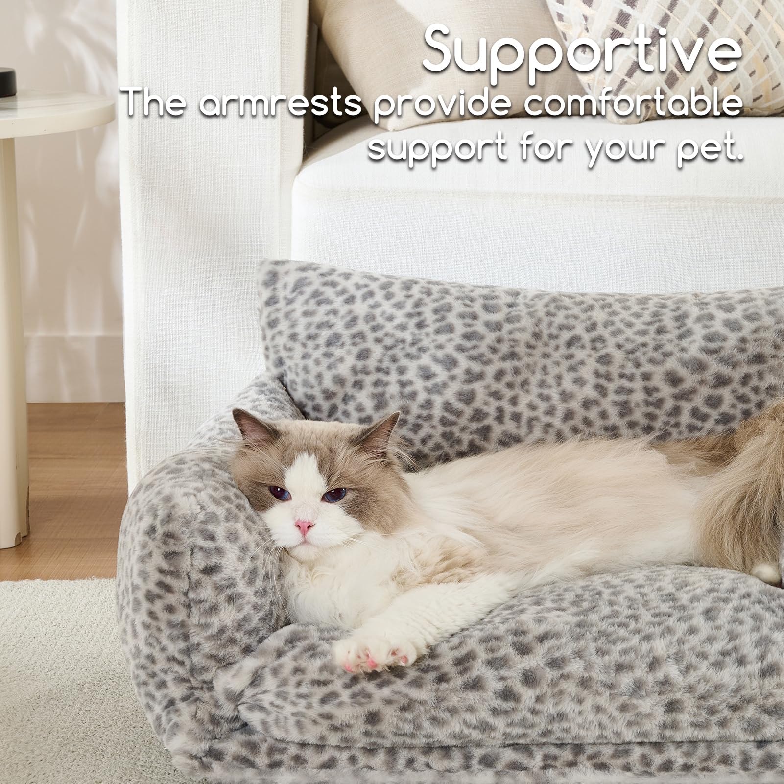 Hollypet coussins-detachables-lavage-machine: nettoyage facile et hygiène