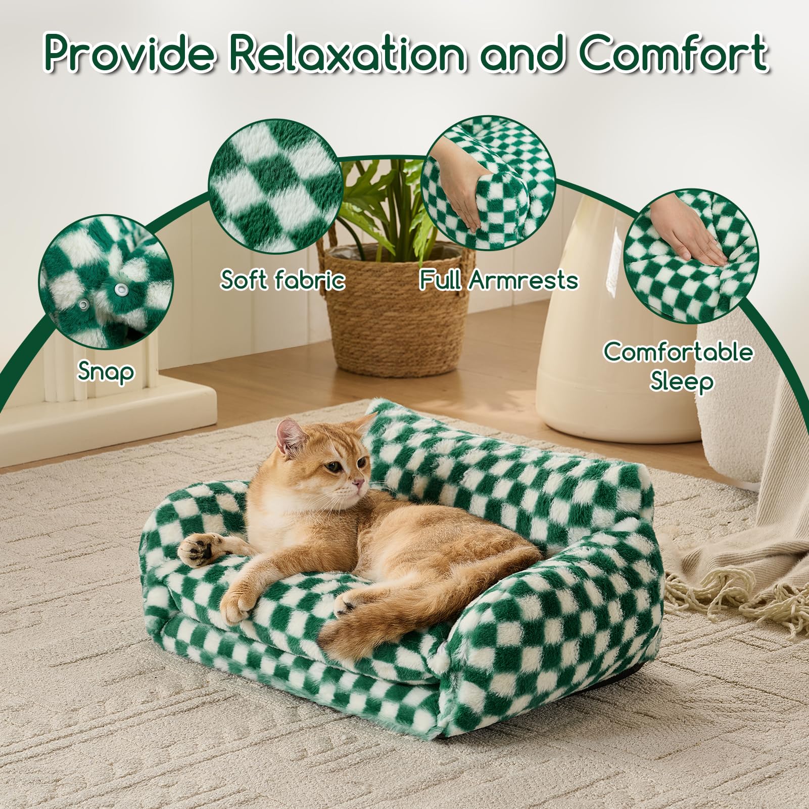 Hollypet tailles XS adaptées aux petits chats et chiens.