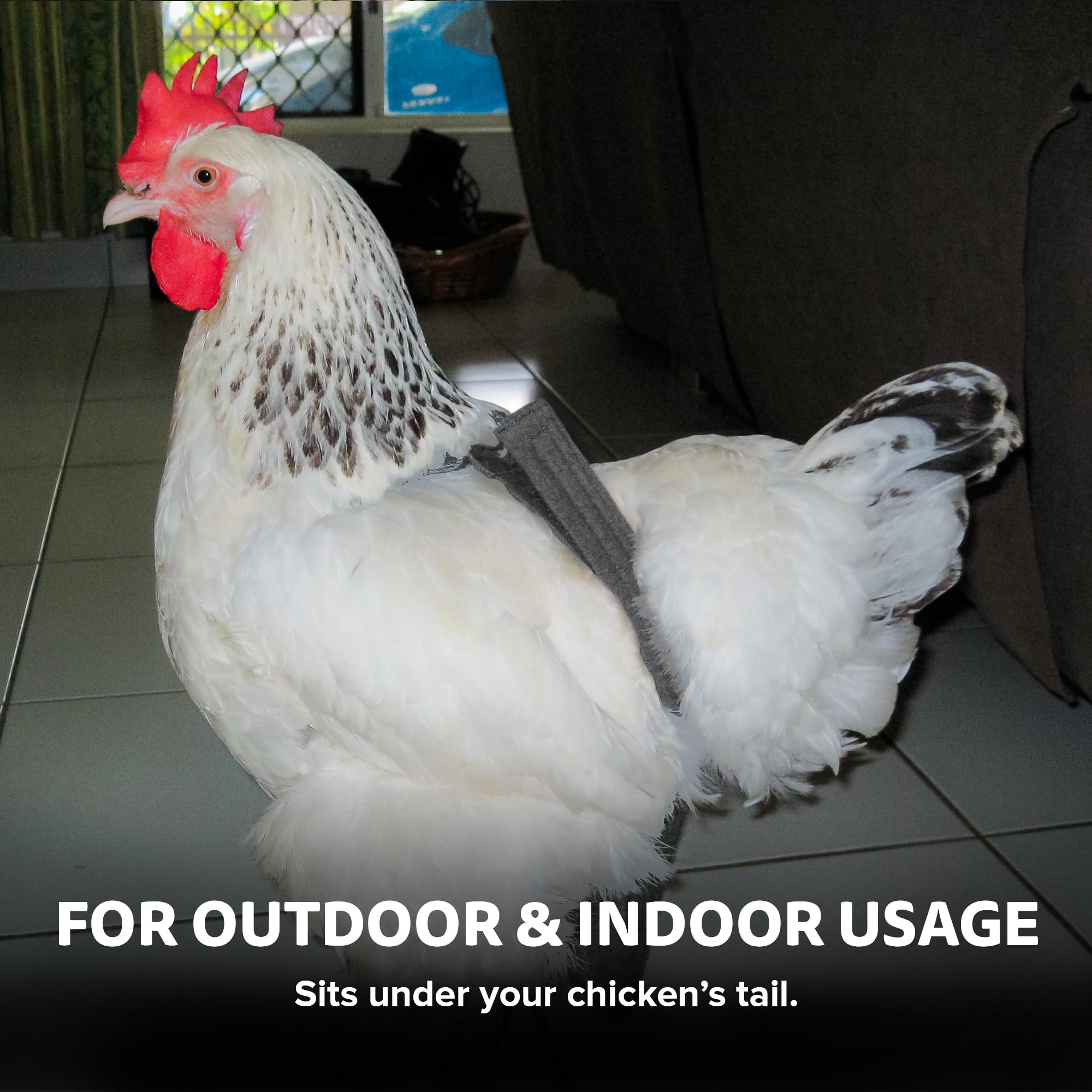 Holster couche poules motif tigre pour style amusant et pratique.