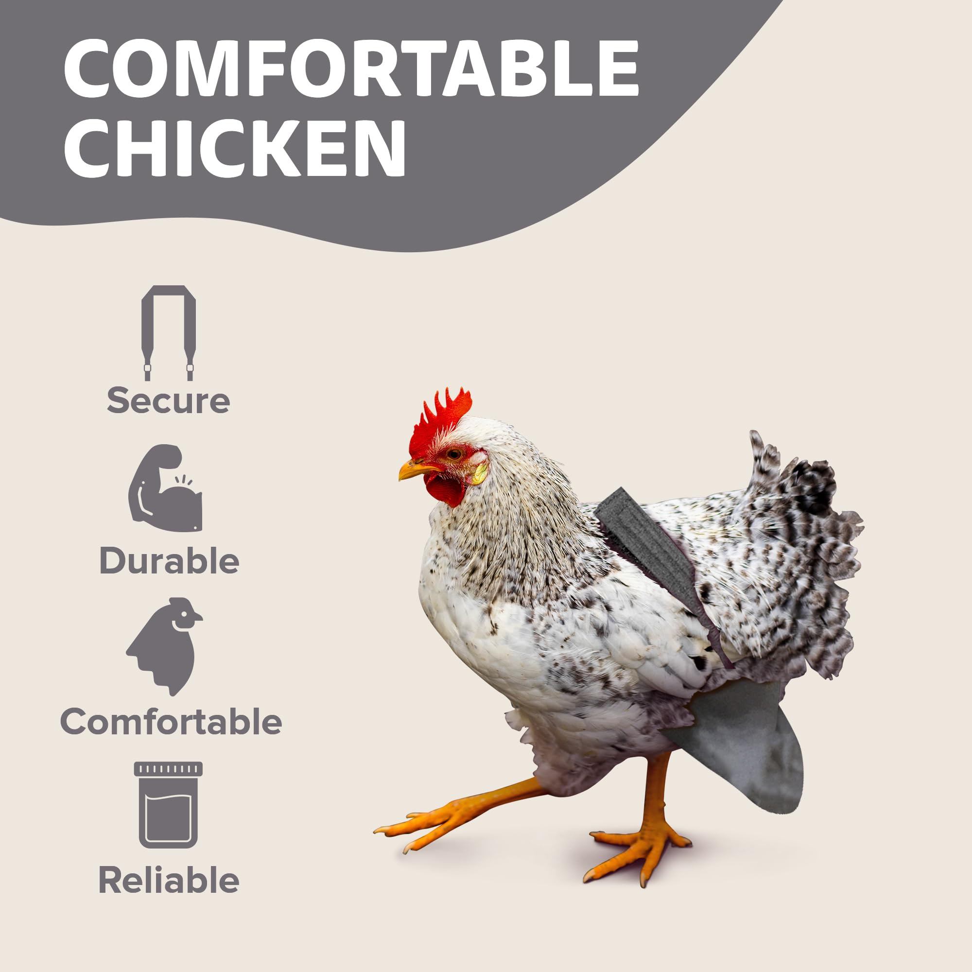 Holster couche poules violette avec doublure amovible et entretien facile.