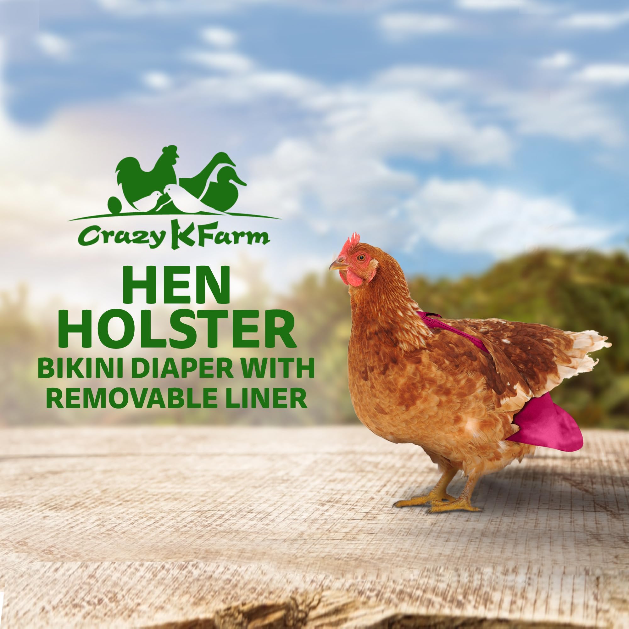 Holster harnais-poules avec anneau en D pour leash, sécurité lors des sorties.