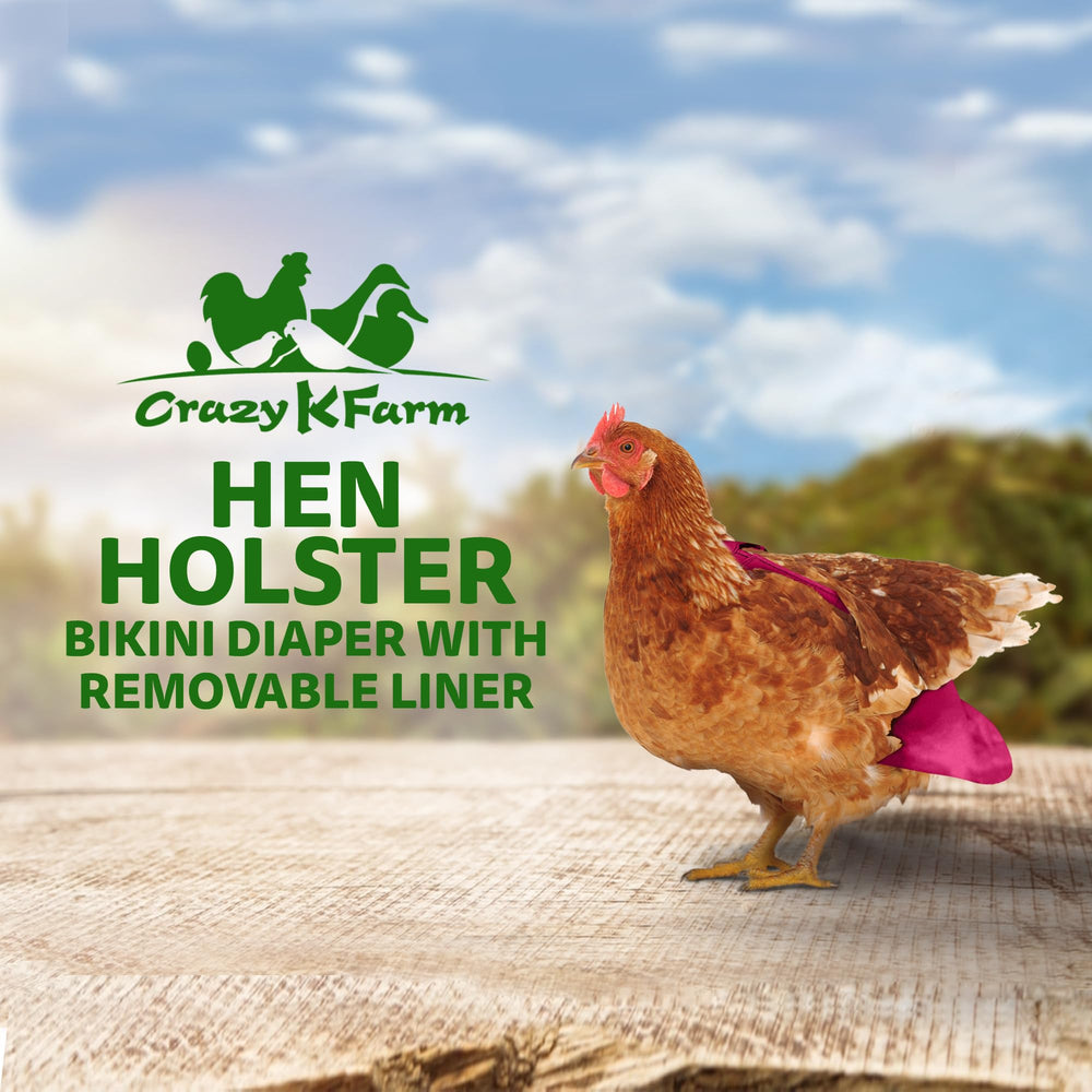 Holster harnais-poules avec anneau en D pour leash, sécurité lors des sorties.