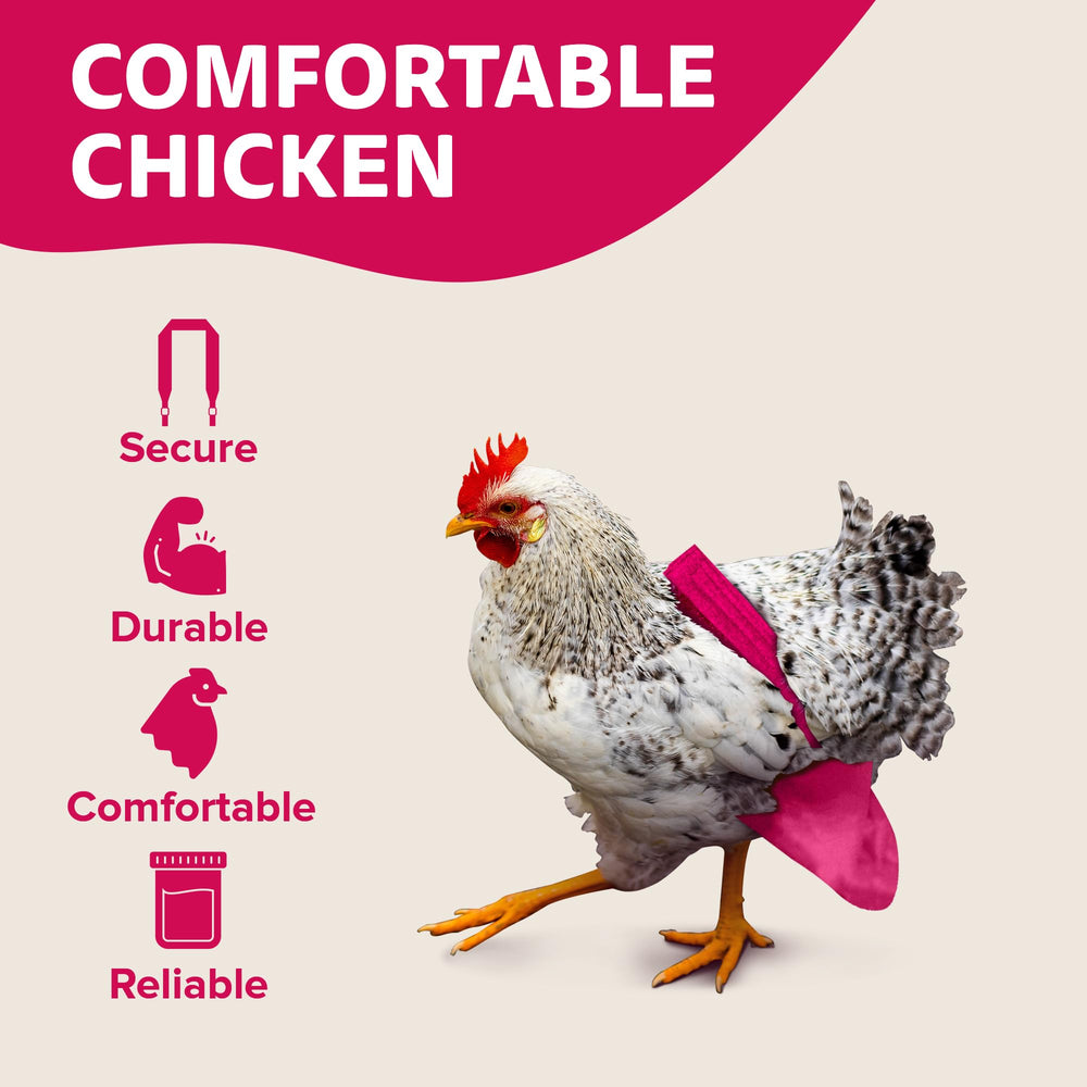 Holster utilisation intérieur et extérieur pour liberté des oiseaux.