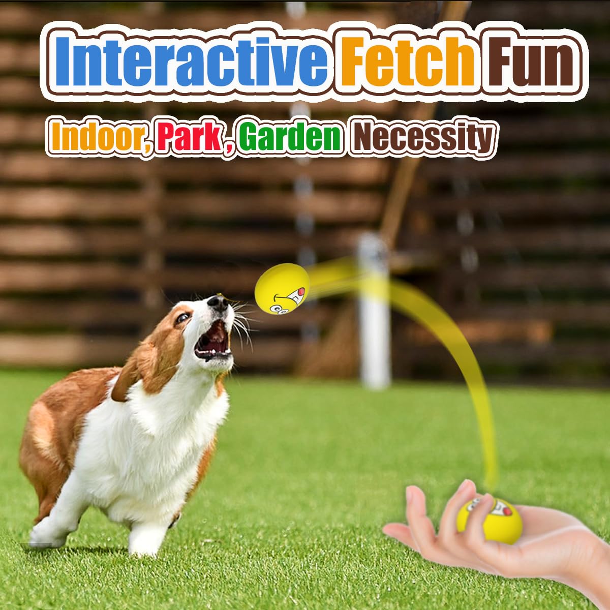 Jouet coloré HOLYSTEED, parfait pour petits chiens et petits moments de jeu.
