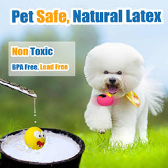 HOLYSTEED latex-naturel-non-toxique-petit-chien, matériaux sûrs pour mordillage.