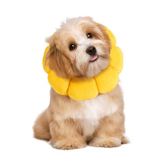 HOMBYS collier-cone doux pour chiens et chats avec forme fleur, port confortable.