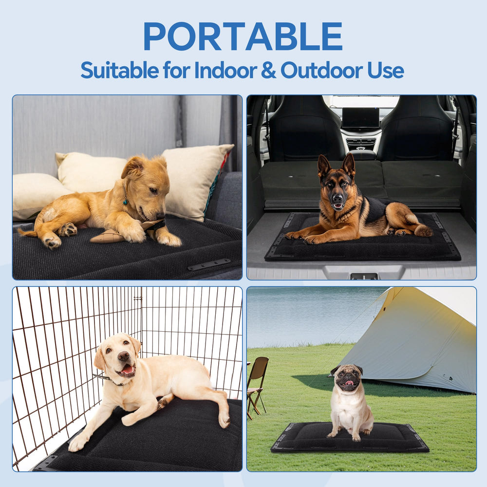 HOMBYS idéal pour chiens qui mâchent et font leurs dents.