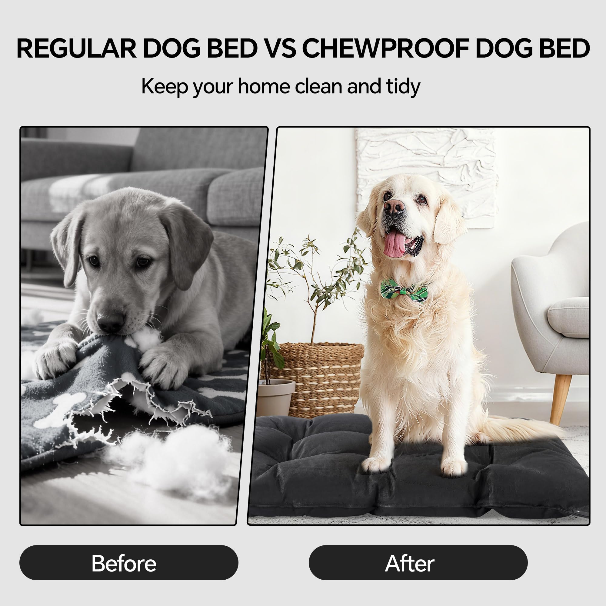 Lit chien HOMBYS lavable en machine pour entretien facile et rapide.