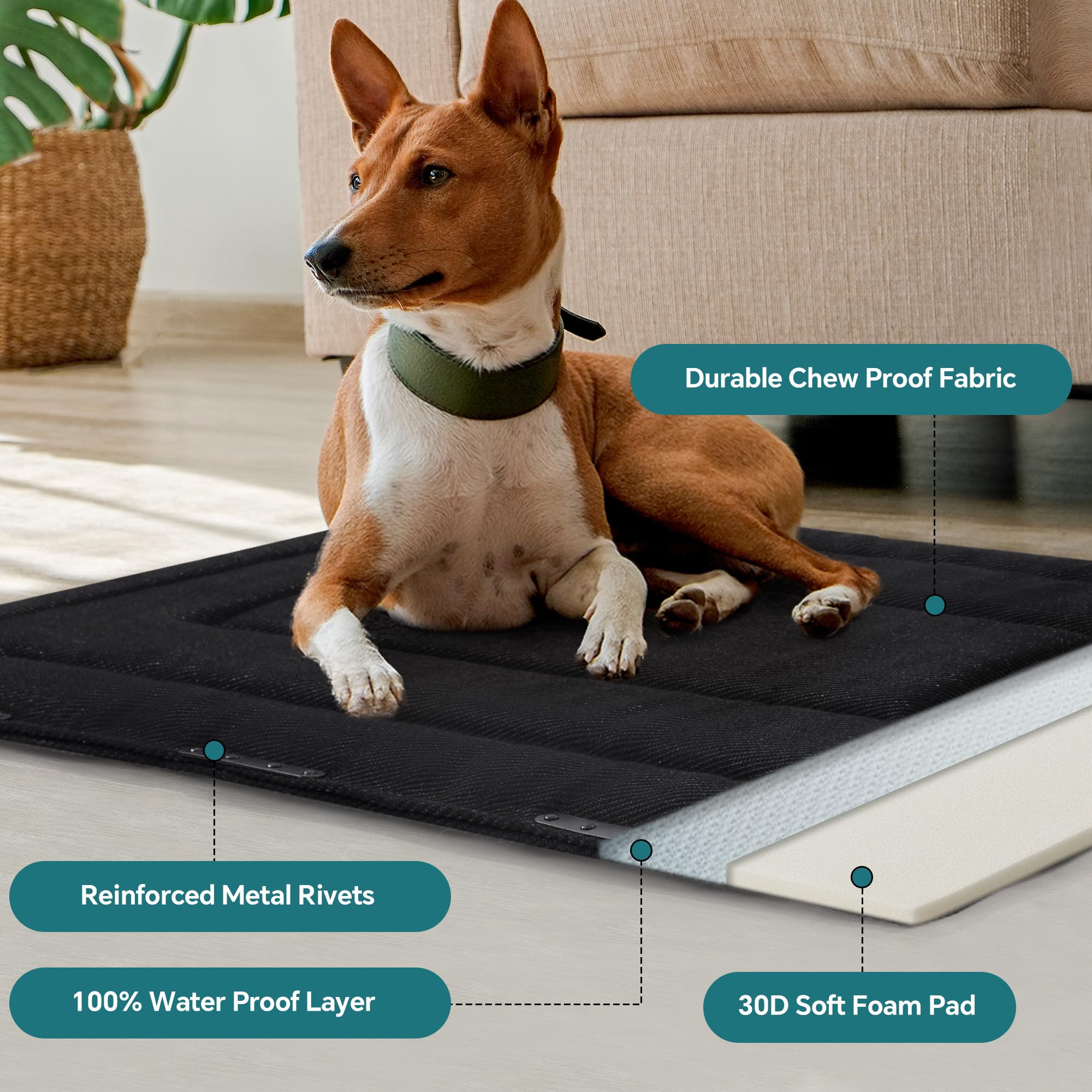 HOMBYS panier-chien mousse-epaisseur-1-pouce pour un soutien doux.
