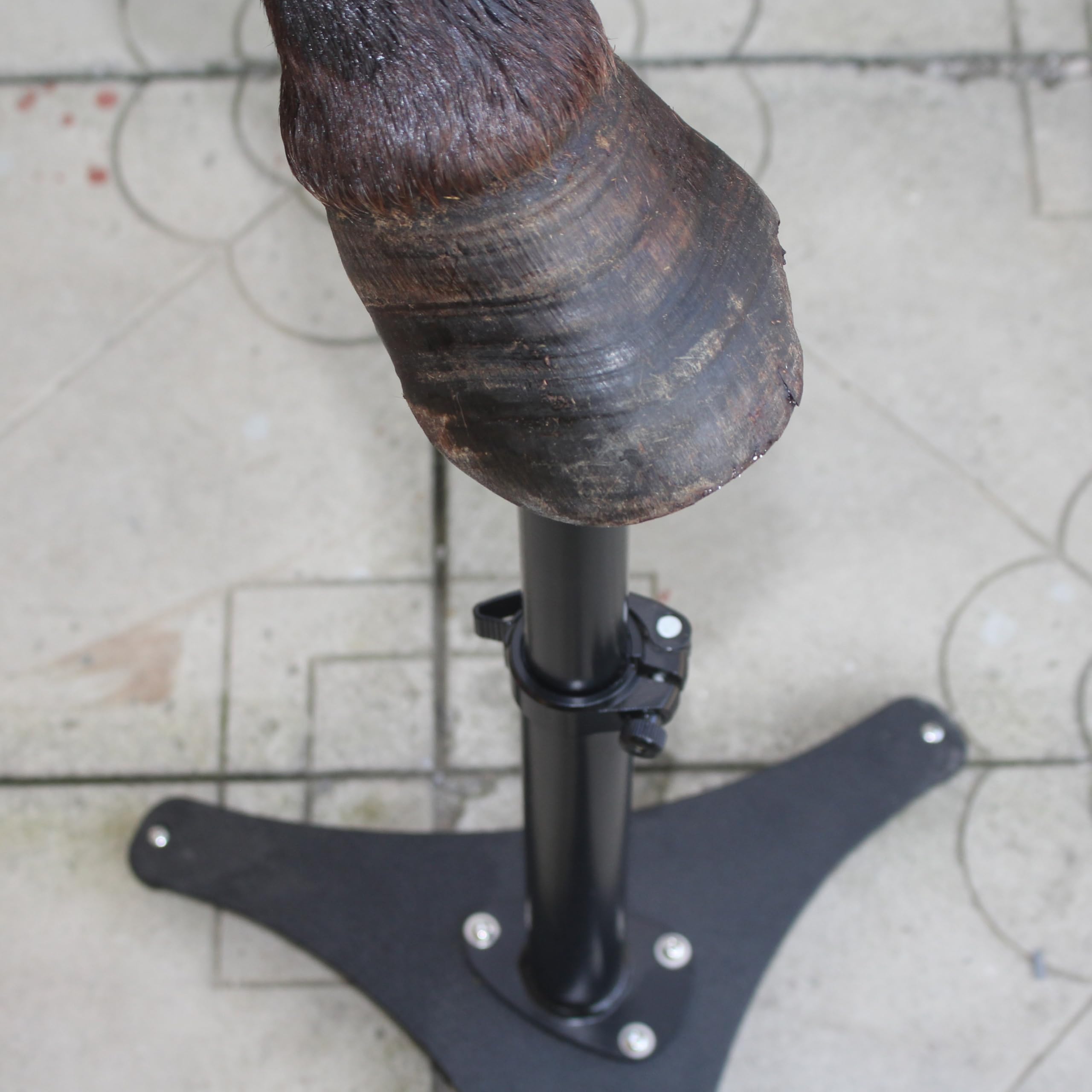 Homcare deux types de supports pour un soutien optimal lors du parage.