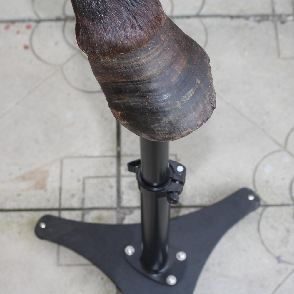 Homcare deux types de supports pour un soutien optimal lors du parage.