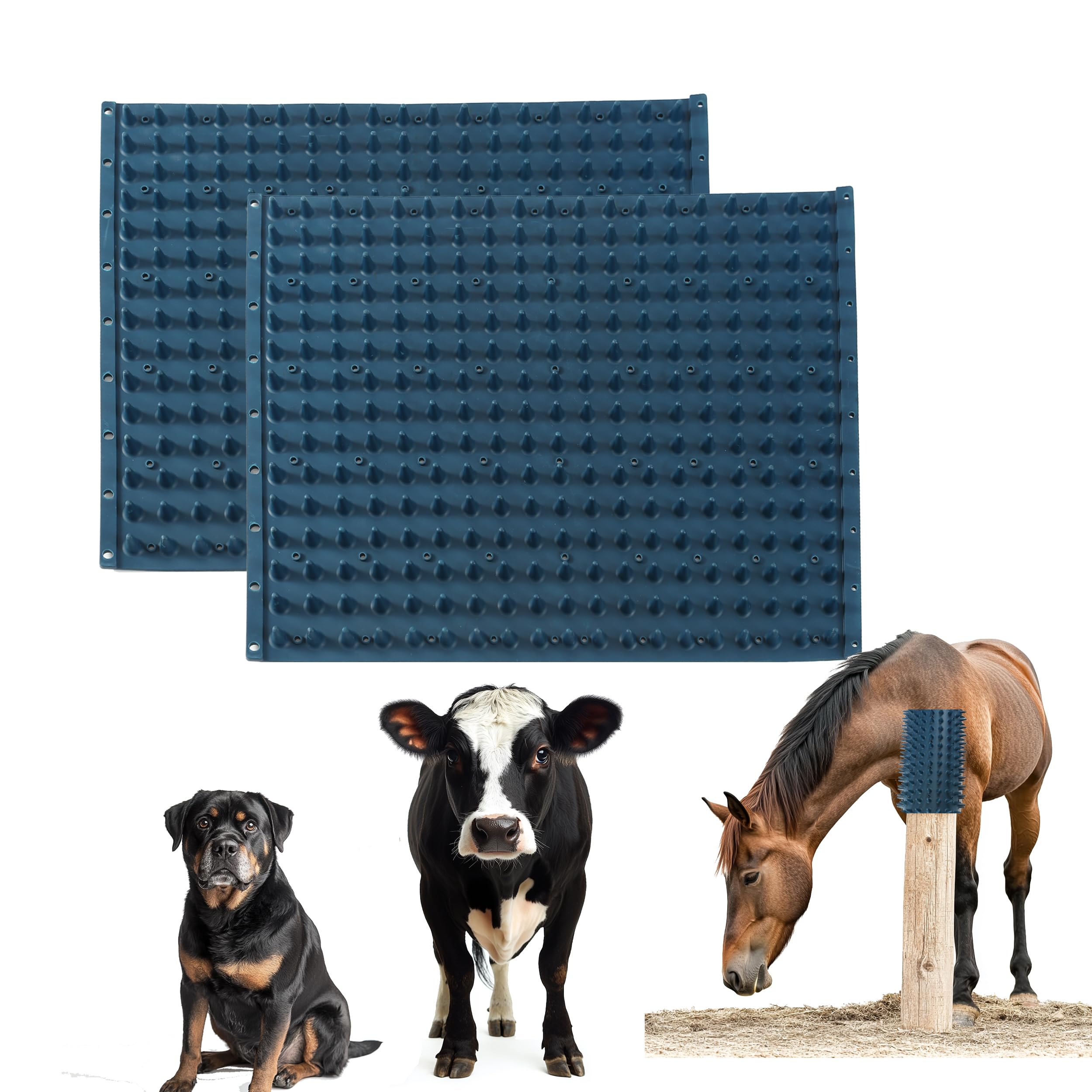 Homcare pad grattage cheval bleu ensemble, relief doux pour cheval