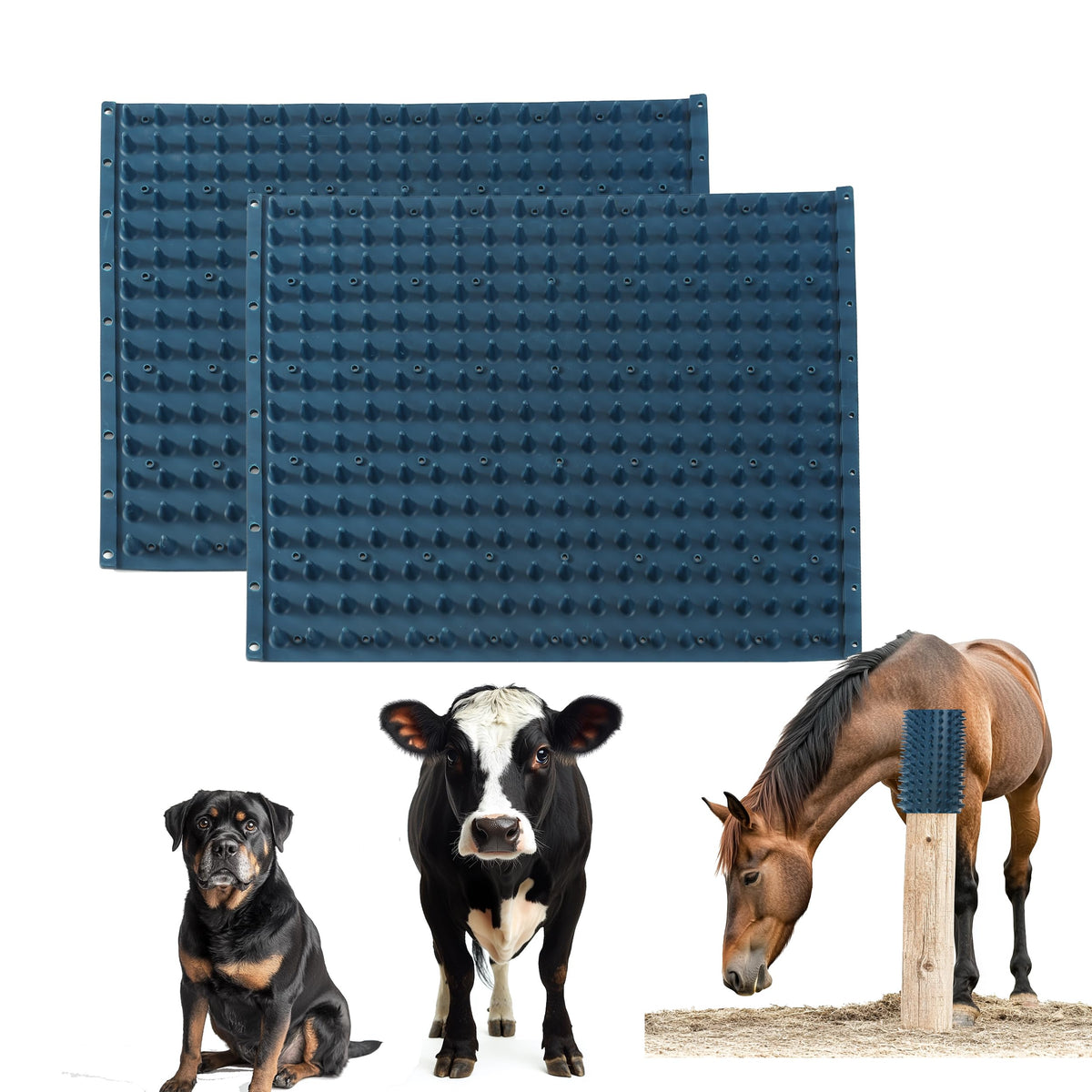 Homcare pad grattage cheval bleu ensemble, relief doux pour cheval