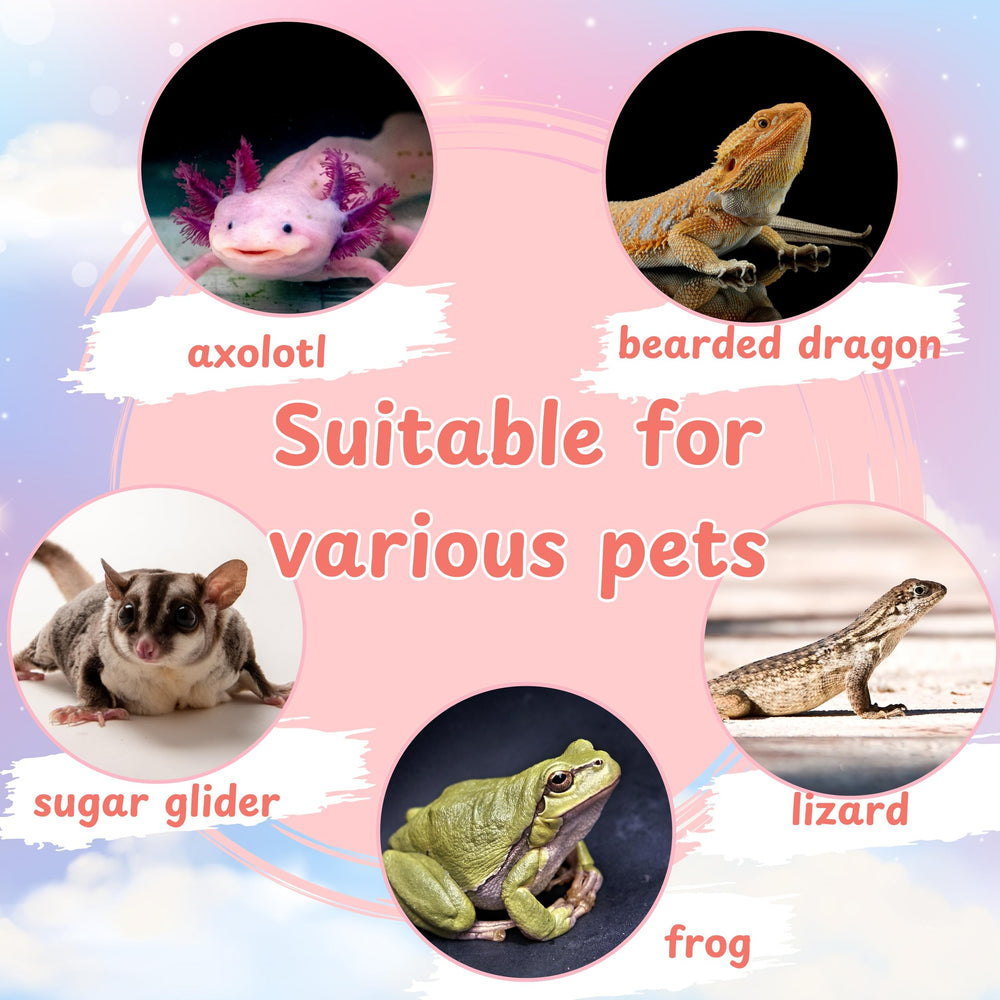Homedy Crafts accessoire polyvalent — adapté pour reptiles et axolotls.