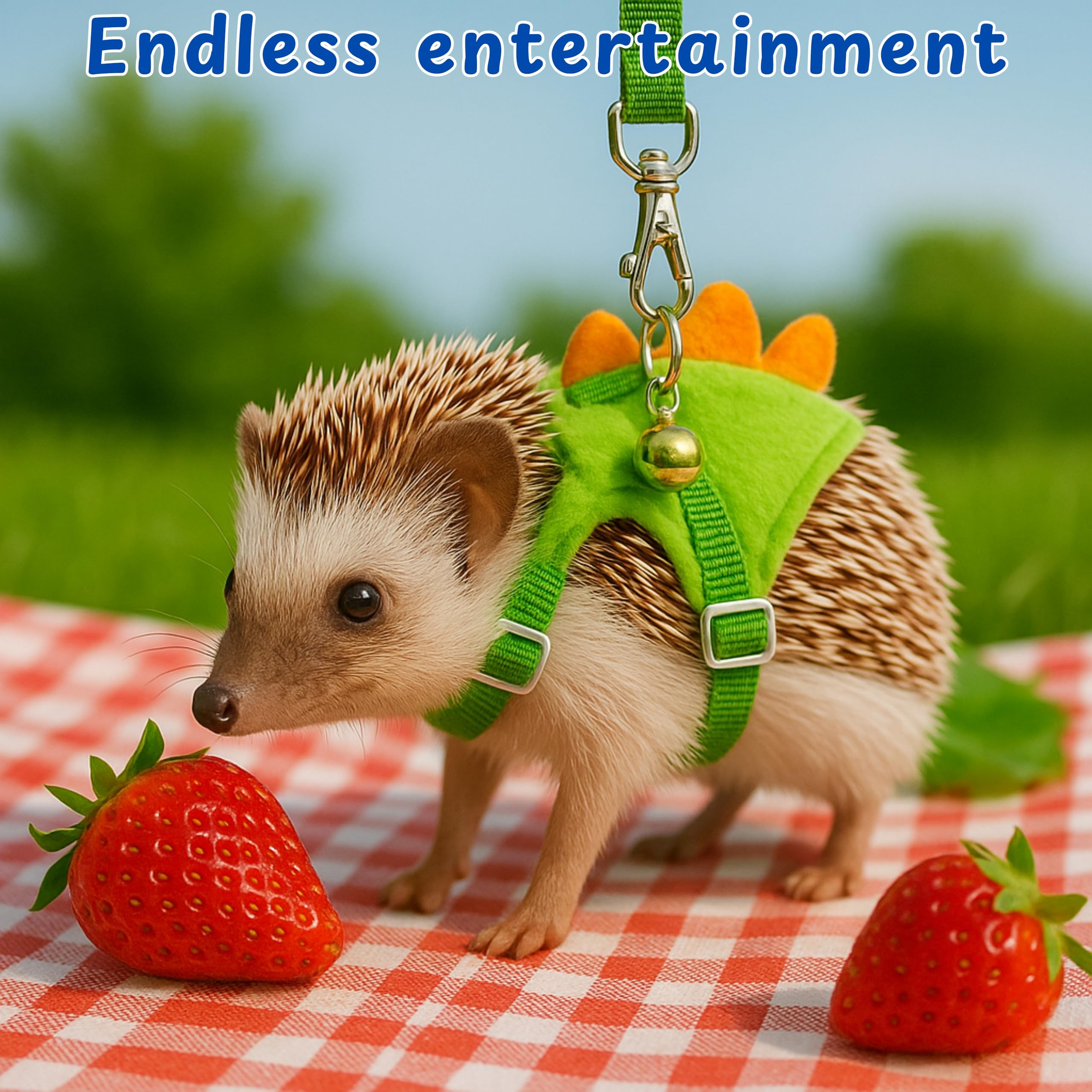 Utilisations variées pour entraînement et jeux avec petits animaux