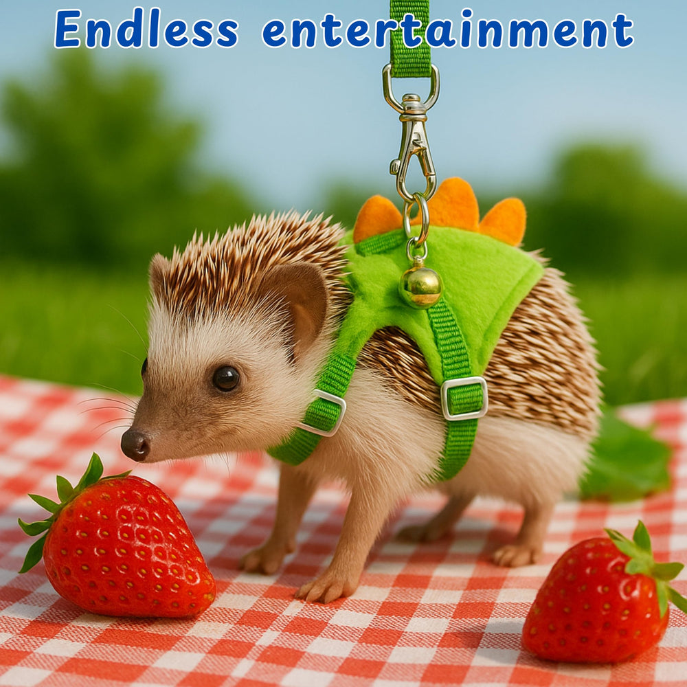 Utilisations variées pour entraînement et jeux avec petits animaux