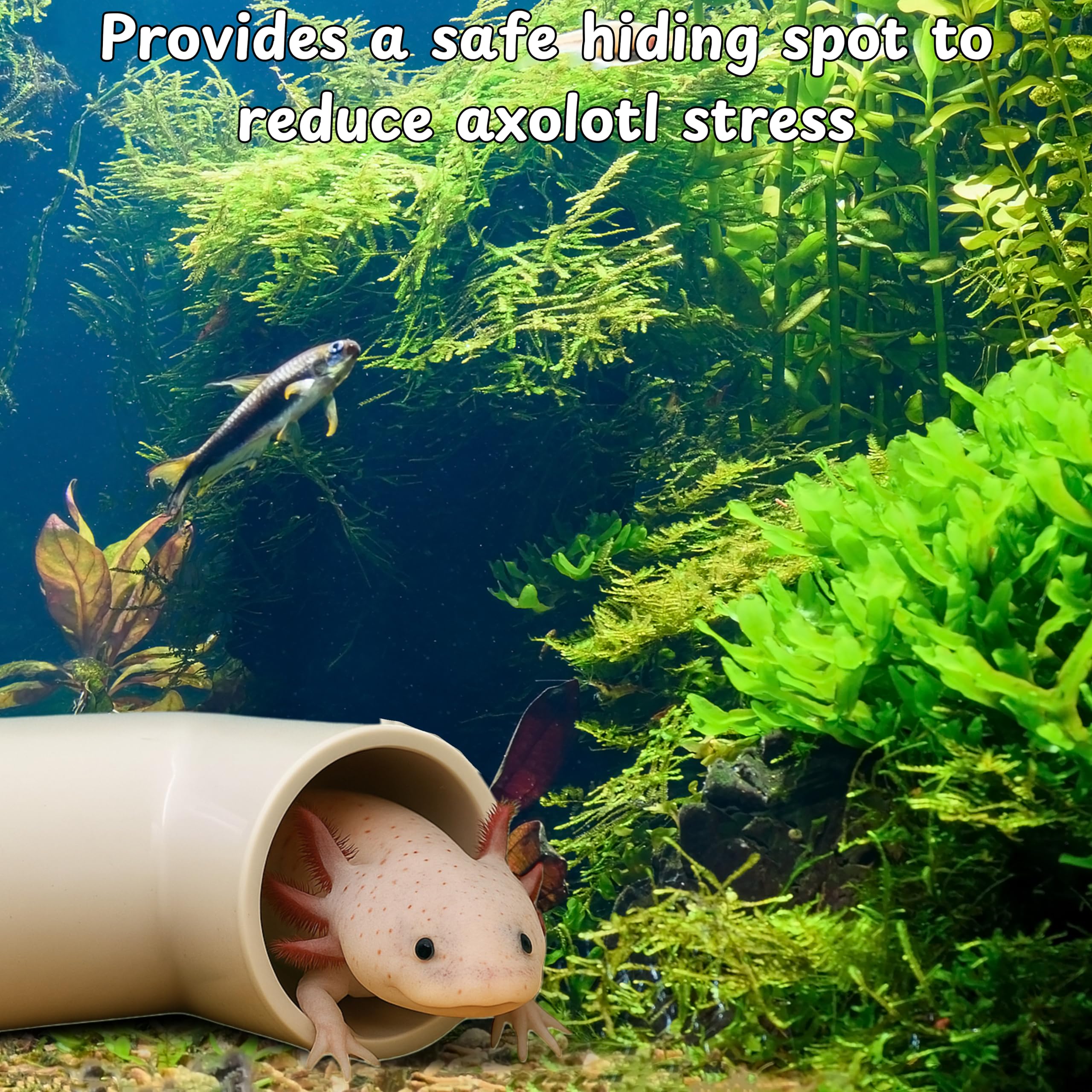 Accessoires polyvalents Homedy Crafts pour petits animaux et axolotl.