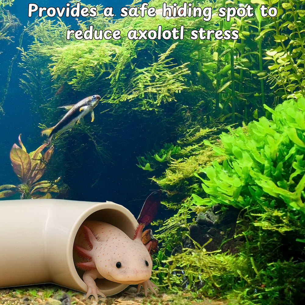 Accessoires polyvalents Homedy Crafts pour petits animaux et axolotl.