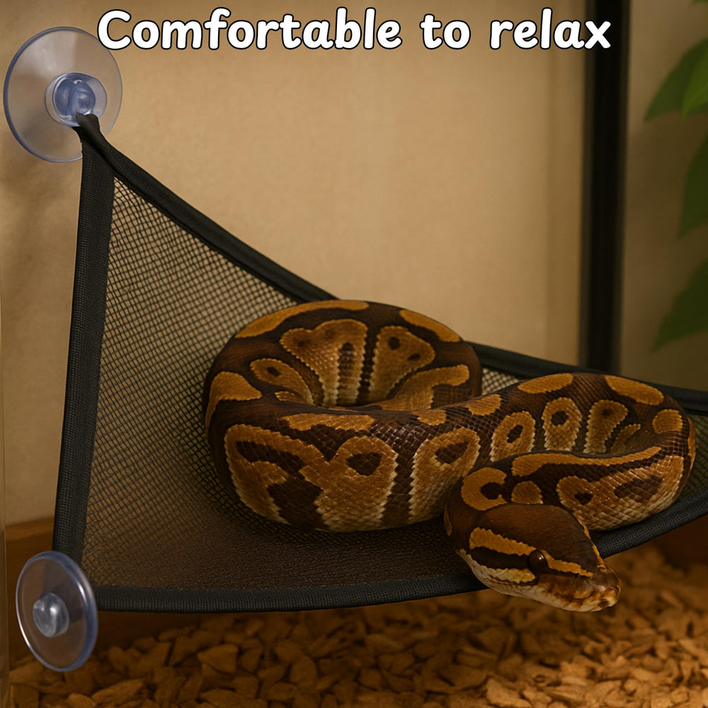 Accessoires terrarium Homedy Crafts: installation simple et polyvalente.