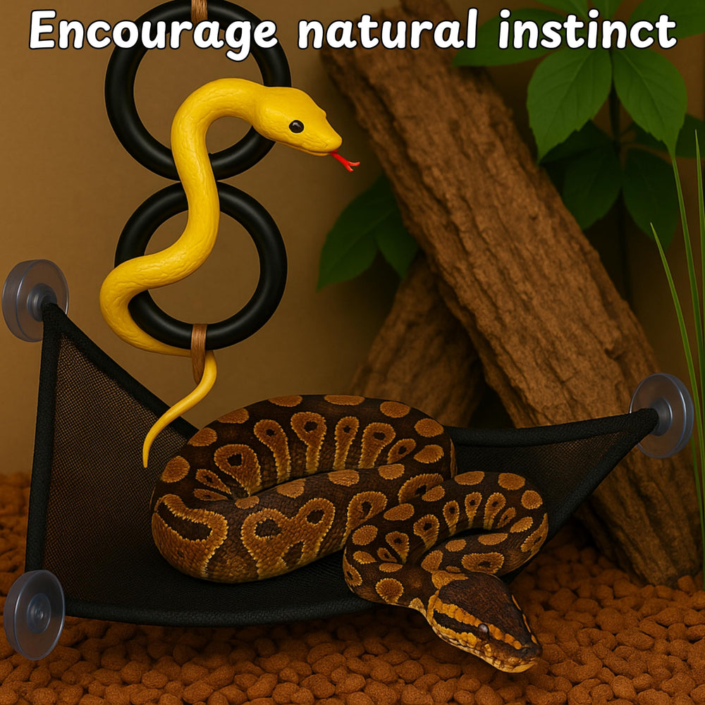 Ensemble serpent Homedy Crafts: paysage terrarium esthétique et fonctionnel.